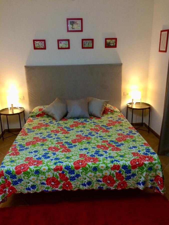 Guesthouse Villa Rosa Berat Ngoại thất bức ảnh